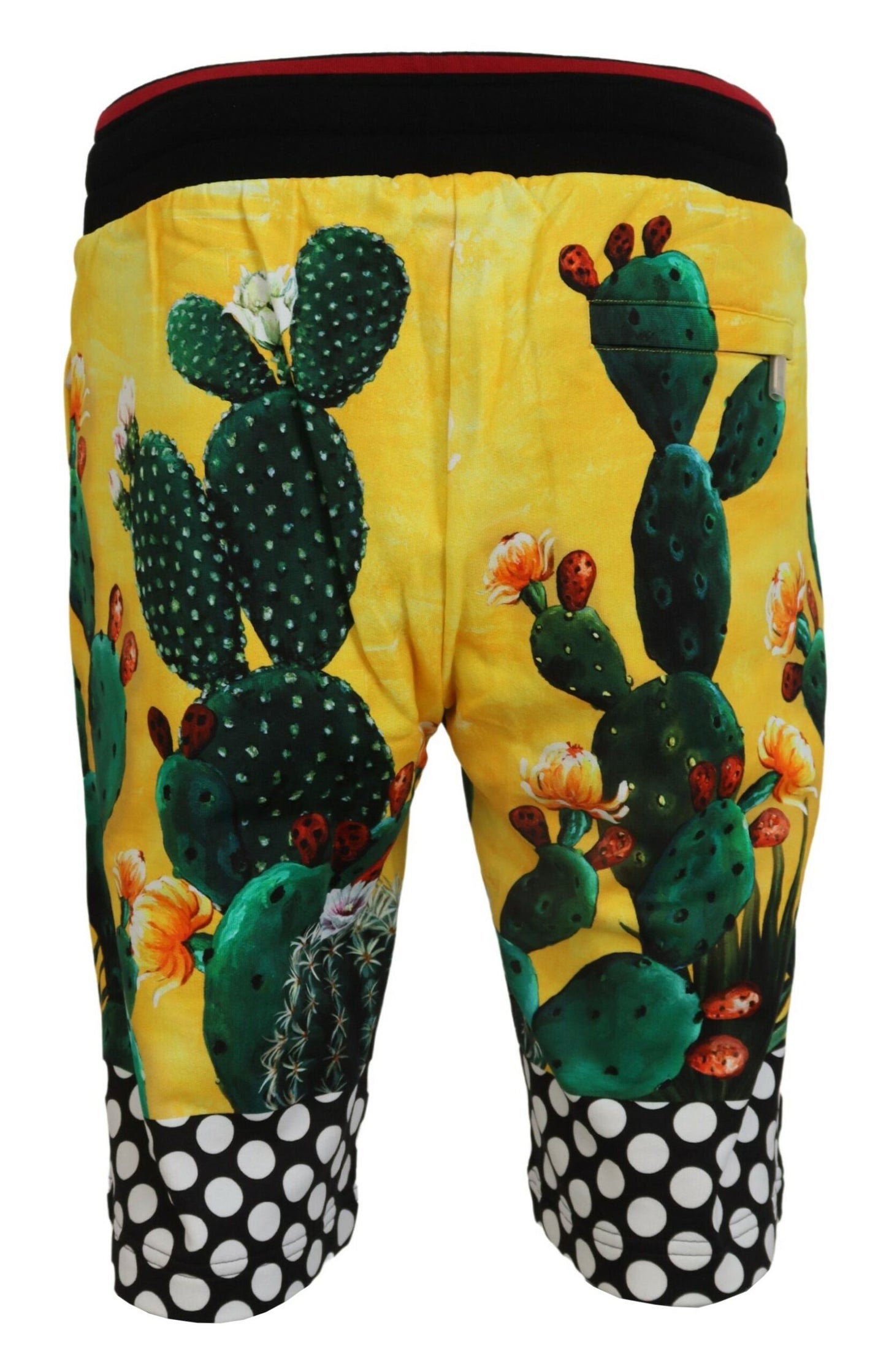 Dolce & Gabbana Multicolor Cactus Print Sweat Shorts