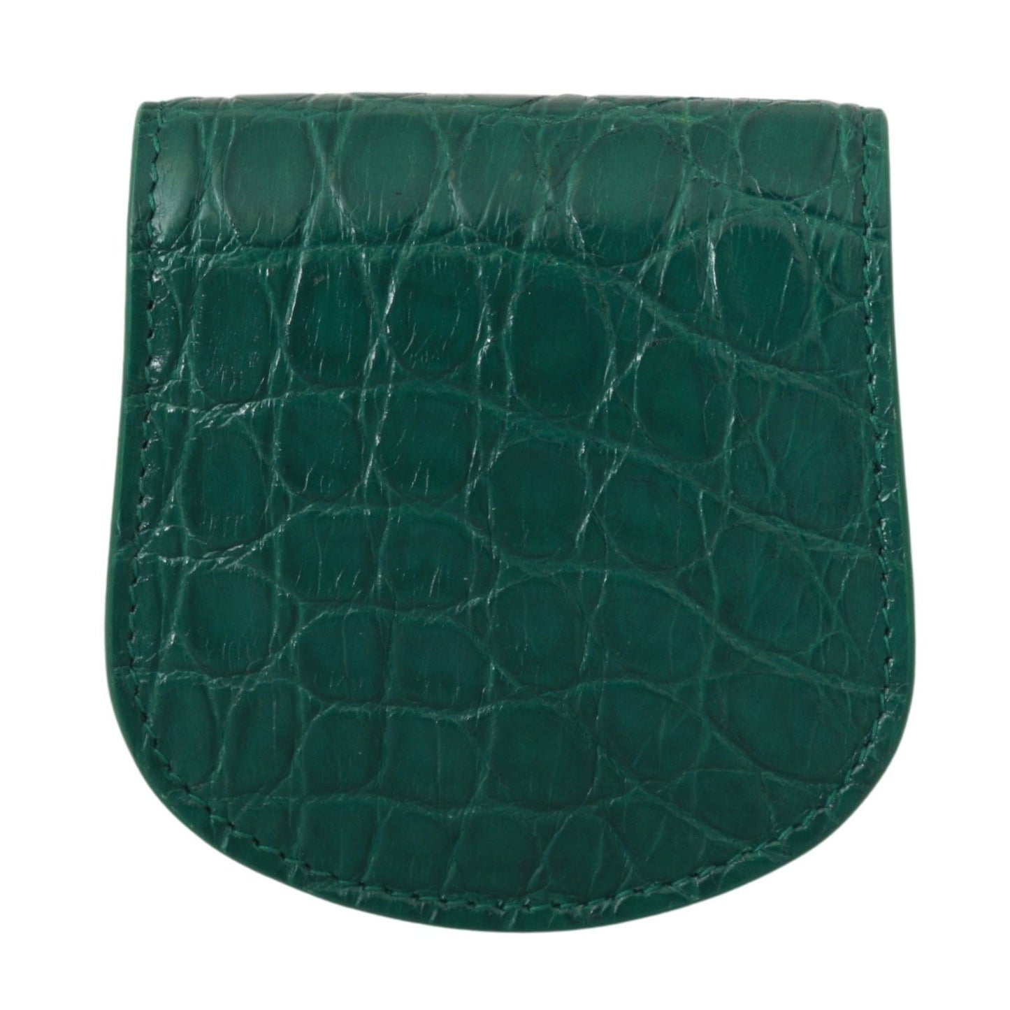 Dolce & Gabbana Green Exotic Skins Condom Case Halter Brieftasche