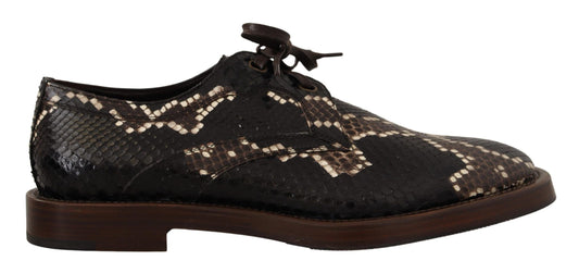 Dolce & Gabbana Brown Derby in pelle esotica Scarpe da uomo