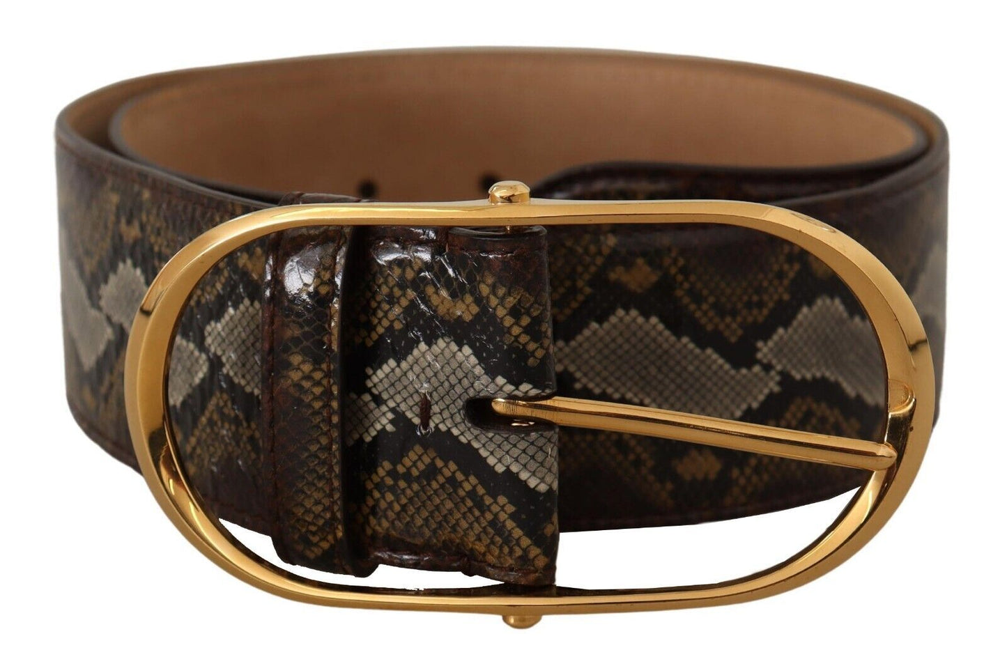 Dolce & Gabbana Brown Python Leder Gold Oval Schnalle Gürtel