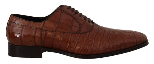 Dolce & Gabbana Brown Crocodile Leather Mens Derby Forby Scarpe