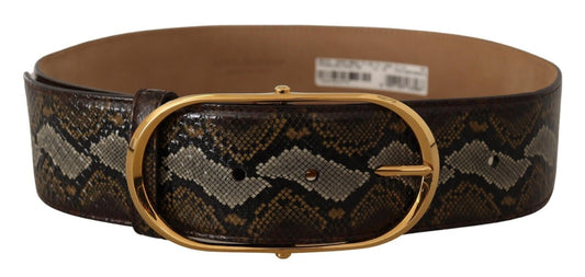 Dolce & Gabbana Brown Python Leather Gold Oval Boucle Boucle