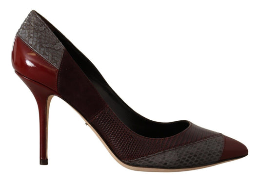 Dolce & Gabbana multicolore exotique talons en cuir pompes chaussures